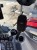 Massey Ferguson 8s/9s Phone Mount Front